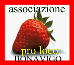 Pro Loco di Bonavigo